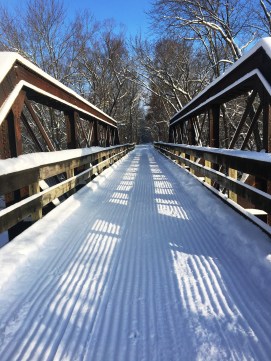 bridge to winter.JPG