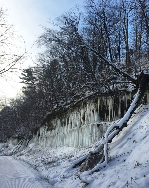 pair of eagles on pilgrimage.jpg
