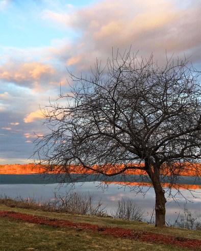 layered spring raw file